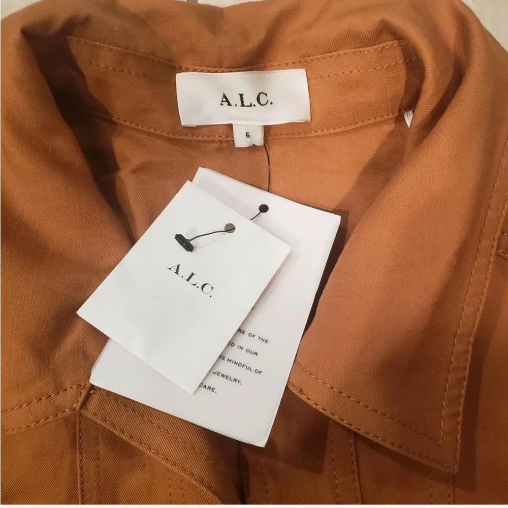 A.L.C. Paisley mini Dress - Picture 6 of 7